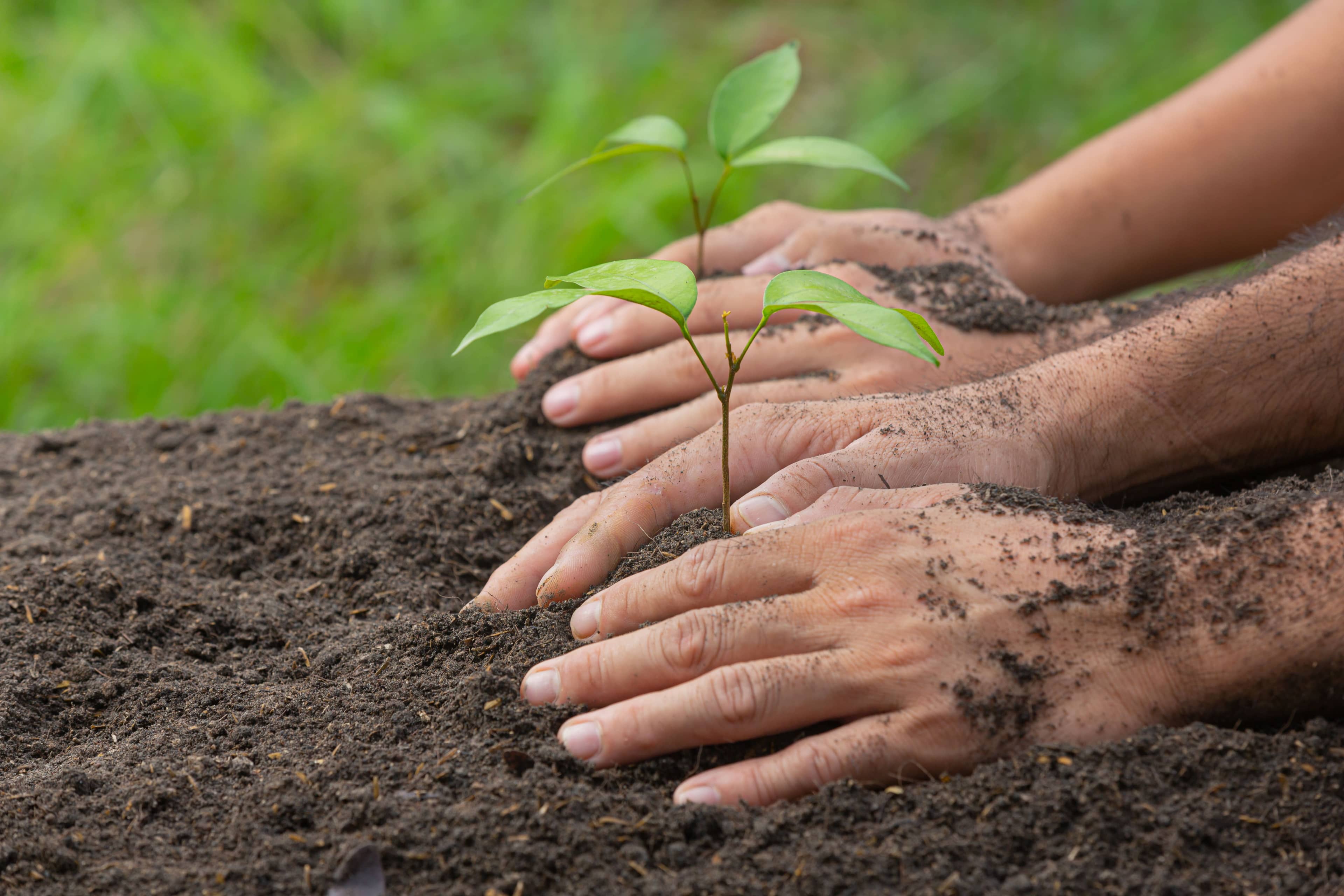 Environmental Protection