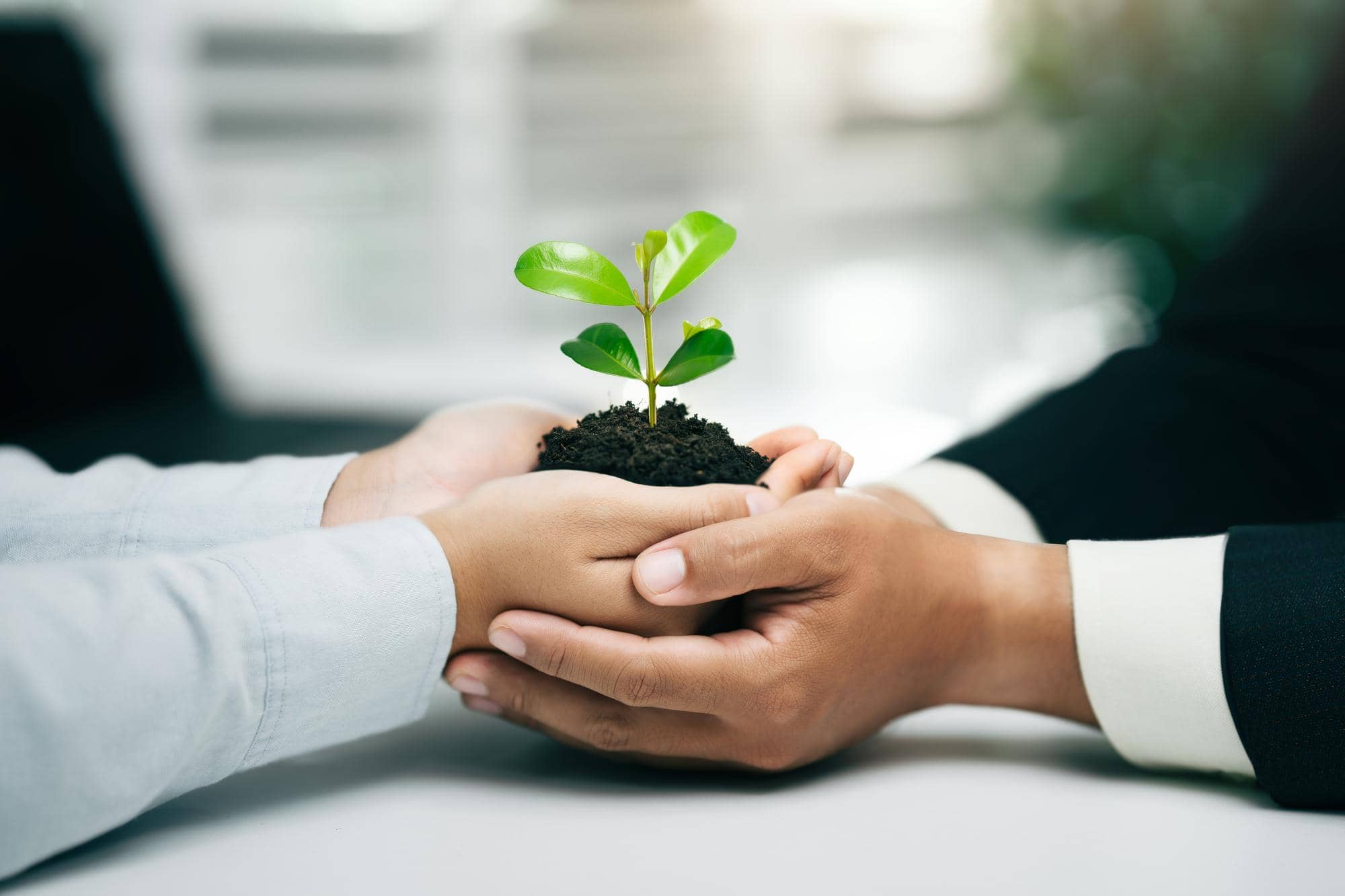 Sustainable growth
