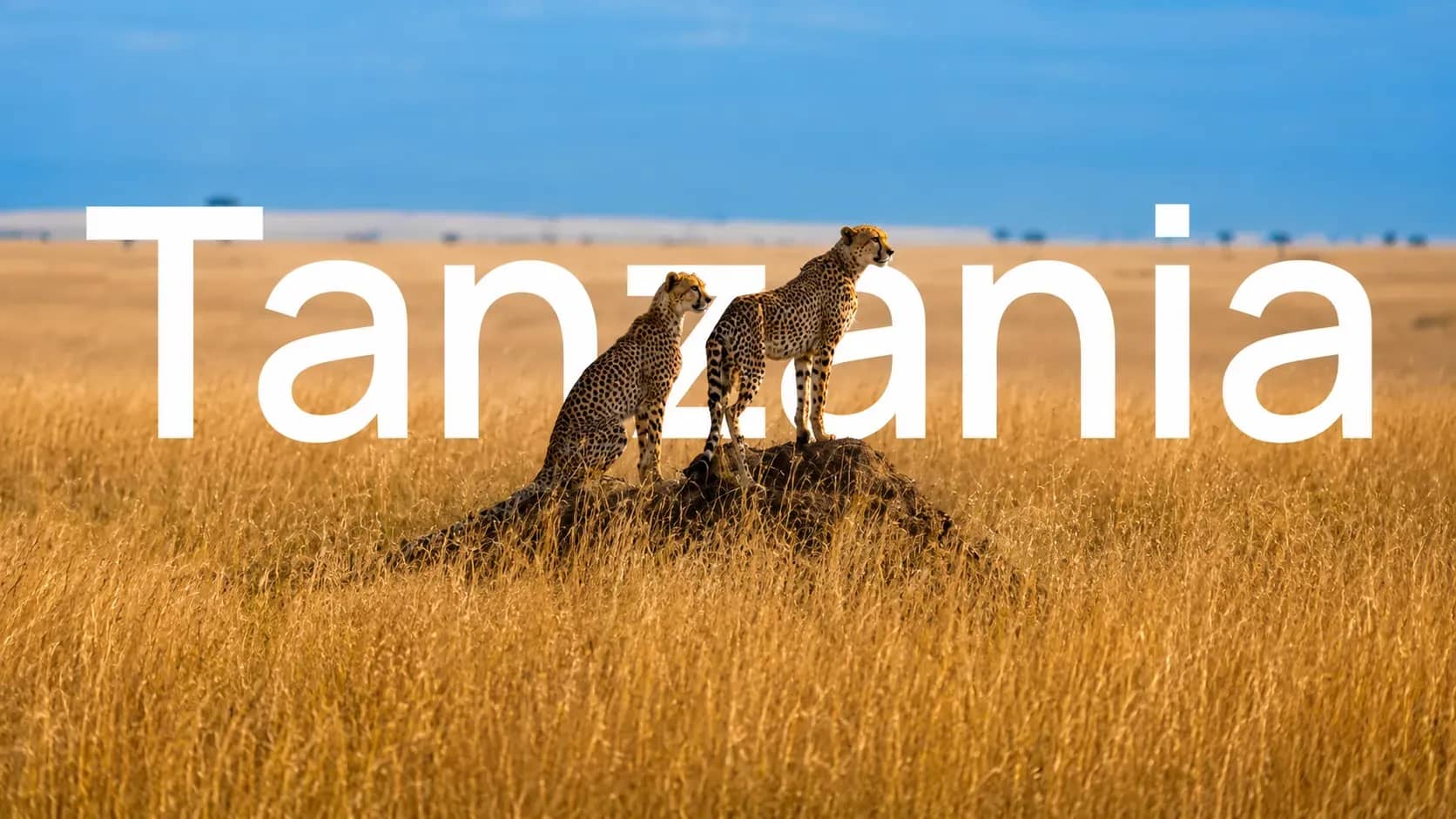 Tanzania - ABC Group presence